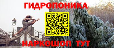 стаф Заводоуковск