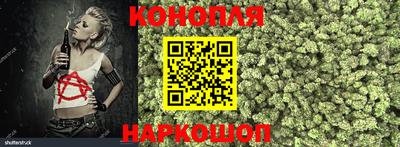 стаф Заводоуковск