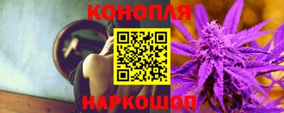 стаф Заводоуковск