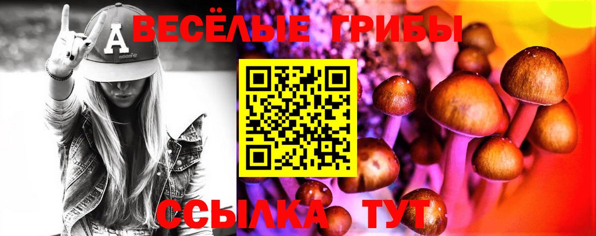 Псилоцибиновые грибы Magic Shrooms Кулебаки