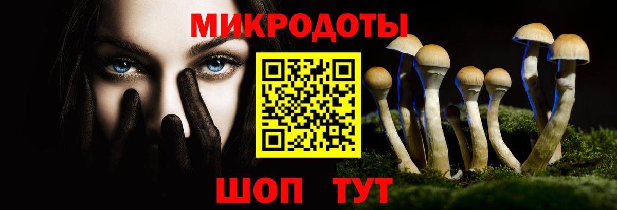 Псилоцибиновые грибы MAGIC MUSHROOMS  Псилоцибиновые грибы GOLDEN TEACHER  Вход с VPN  Кулебаки 